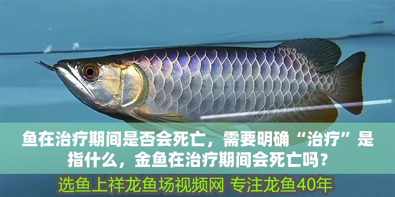 魚在治療期間是否會死亡，需要明確“治療”是指什么，金魚在治療期間會死亡嗎？