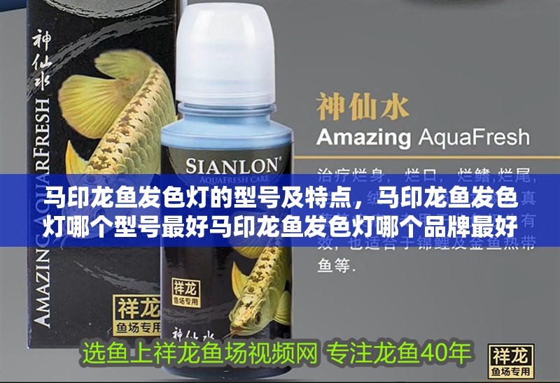 馬印龍魚發(fā)色燈的型號及特點，馬印龍魚發(fā)色燈哪個型號最好馬印龍魚發(fā)色燈哪個品牌最好 馬印龍魚發(fā)色燈的型號及特點，馬印龍魚發(fā)色燈哪個型號最好馬印龍魚發(fā)色燈哪個品牌最好 龍魚百科