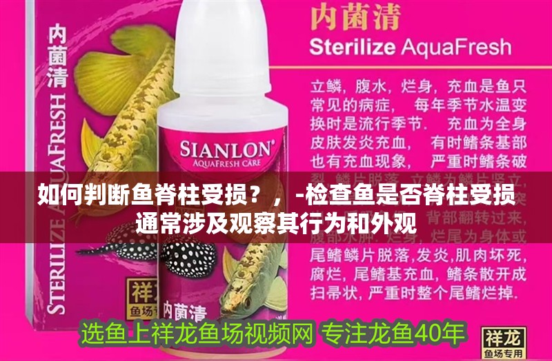 如何判斷魚脊柱受損？，-檢查魚是否脊柱受損通常涉及觀察其行為和外觀