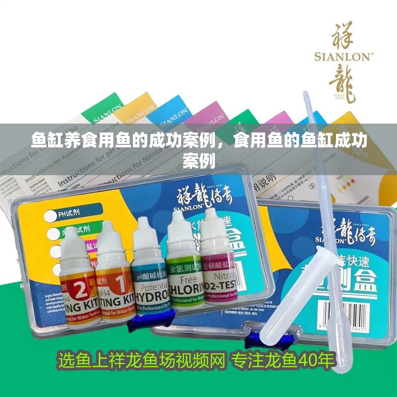 魚缸養食用魚的成功案例，食用魚的魚缸成功案例