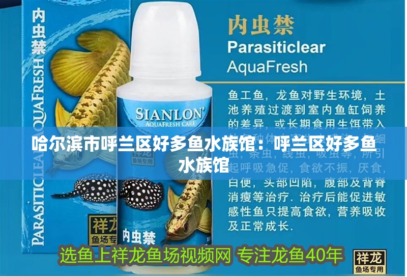 哈爾濱市呼蘭區好多魚水族館：呼蘭區好多魚水族館