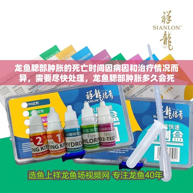 龍魚腮部腫脹的死亡時間因病因和治療情況而異，需要盡快處理，龍魚腮部腫脹多久會死