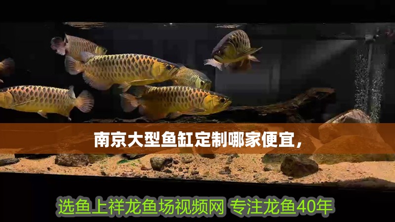 南京大型魚缸定制哪家便宜，