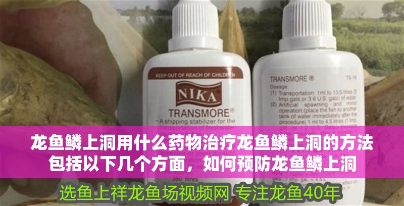 龍魚鱗上洞用什么藥物治療龍魚鱗上洞的方法包括以下幾個方面，如何預防龍魚鱗上洞