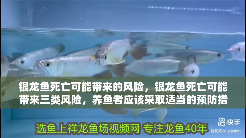 銀龍魚(yú)死亡可能帶來(lái)的風(fēng)險(xiǎn)，銀龍魚(yú)死亡可能帶來(lái)三類風(fēng)險(xiǎn)，養(yǎng)魚(yú)者應(yīng)該采取適當(dāng)?shù)念A(yù)防措施