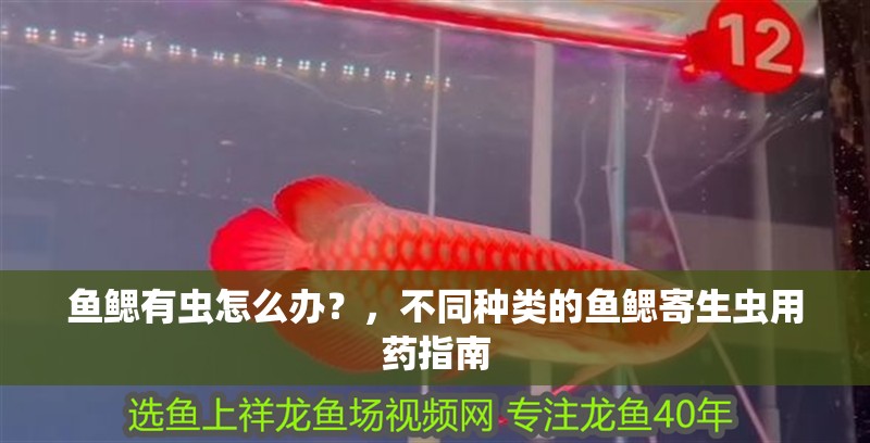 魚鰓有蟲怎么辦？，不同種類的魚鰓寄生蟲用藥指南