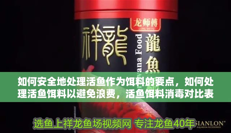 如何安全地處理活魚作為餌料的要點，如何處理活魚餌料以避免浪費，活魚餌料消毒對比表