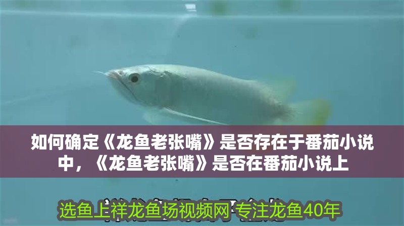 如何確定《龍魚老張嘴》是否存在于番茄小說中，《龍魚老張嘴》是否在番茄小說上