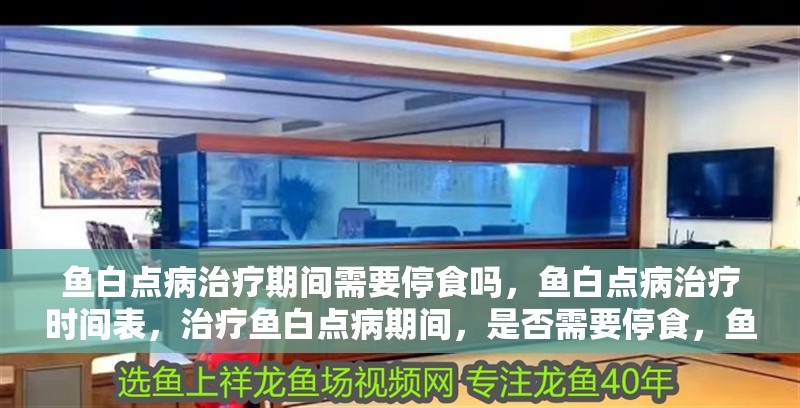 魚白點病治療期間需要停食嗎，魚白點病治療時間表，治療魚白點病期間，是否需要停食，魚白點病治療時間表