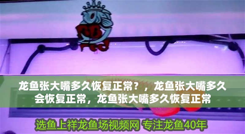龍魚張大嘴多久恢復正常？，龍魚張大嘴多久會恢復正常，龍魚張大嘴多久恢復正常