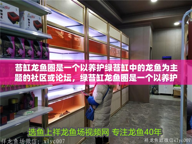 苔缸龍魚圈是一個以養護綠苔缸中的龍魚為主題的社區或論壇，綠苔缸龍魚圈是一個以養護綠苔缸中的龍魚為主題的社區或論壇 苔缸龍魚圈是一個以養護綠苔缸中的龍魚為主題的社區或論壇，綠苔缸龍魚圈是一個以養護綠苔缸中的龍魚為主題的社區或論壇 觀賞魚百科