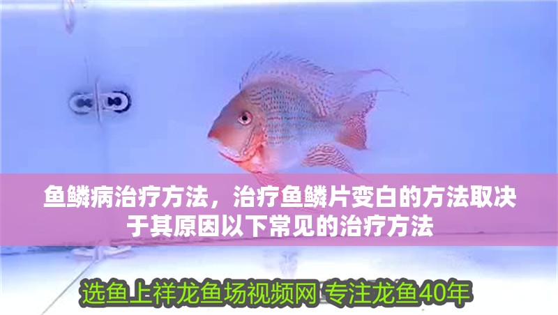 魚鱗病治療方法，治療魚鱗片變白的方法取決于其原因以下常見的治療方法