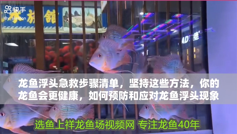龍魚浮頭急救步驟清單，堅持這些方法，你的龍魚會更健康，如何預防和應對龍魚浮頭現(xiàn)象