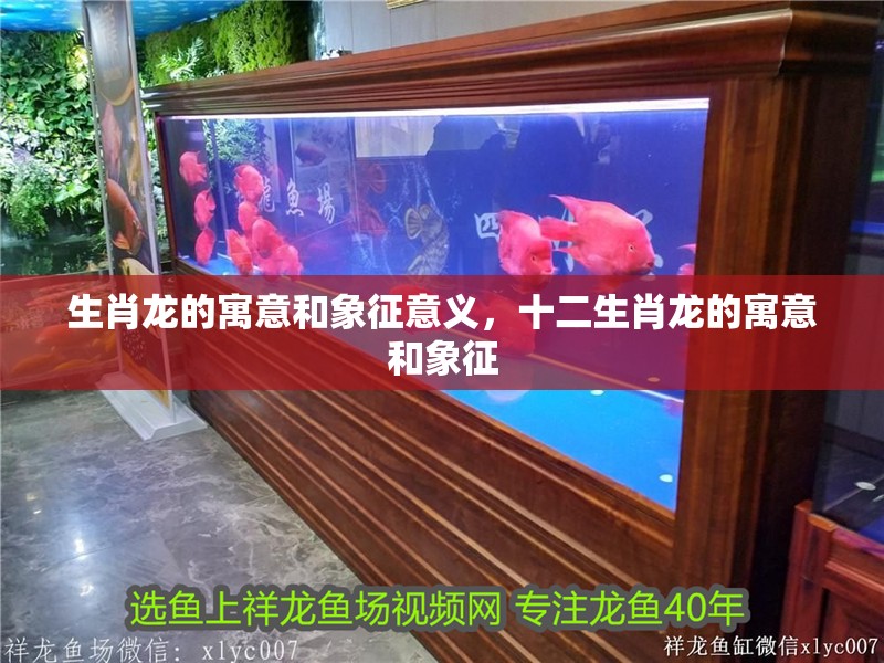 生肖龍的寓意和象征意義，十二生肖龍的寓意和象征