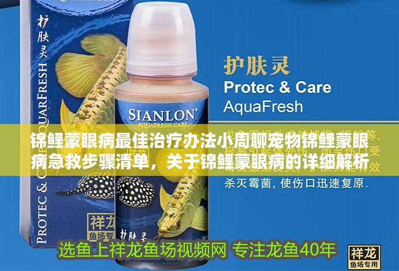 錦鯉蒙眼病最佳治療辦法小周聊寵物錦鯉蒙眼病急救步驟清單，關于錦鯉蒙眼病的詳細解析