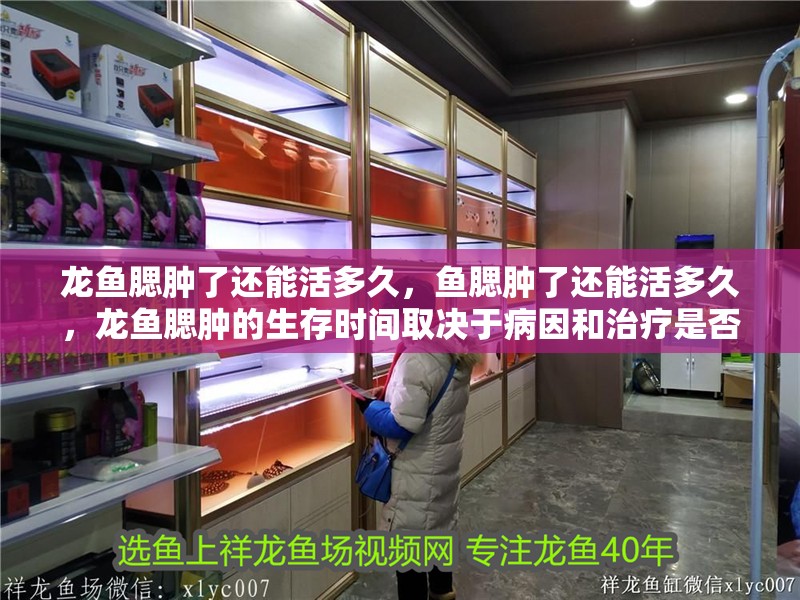 龍魚腮腫了還能活多久，魚腮腫了還能活多久，龍魚腮腫的生存時間取決于病因和治療是否及時
