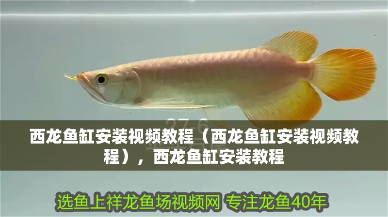 西龍魚缸安裝視頻教程（西龍魚缸安裝視頻教程），西龍魚缸安裝教程