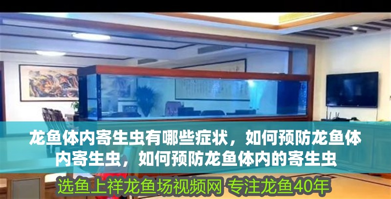 龍魚體內寄生蟲有哪些癥狀，如何預防龍魚體內寄生蟲，如何預防龍魚體內的寄生蟲