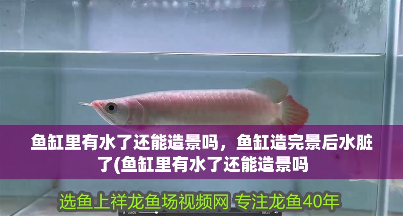 魚缸里有水了還能造景嗎，魚缸造完景后水臟了(魚缸里有水了還能造景嗎