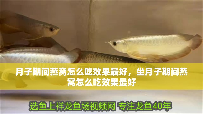 月子期間燕窩怎么吃效果最好，坐月子期間燕窩怎么吃效果最好