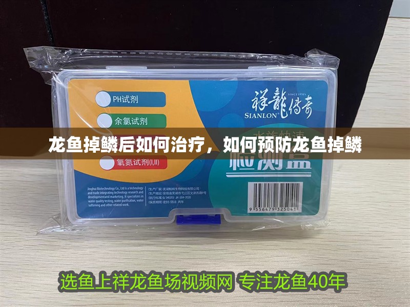 龍魚掉鱗后如何治療，如何預防龍魚掉鱗 龍魚掉鱗后如何治療，如何預防龍魚掉鱗 龍魚百科