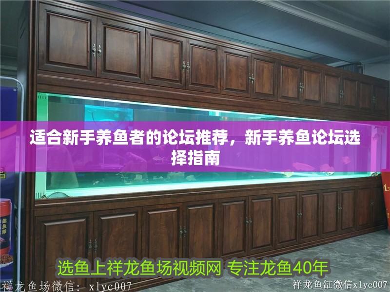 適合新手養魚者的論壇推薦，新手養魚論壇選擇指南