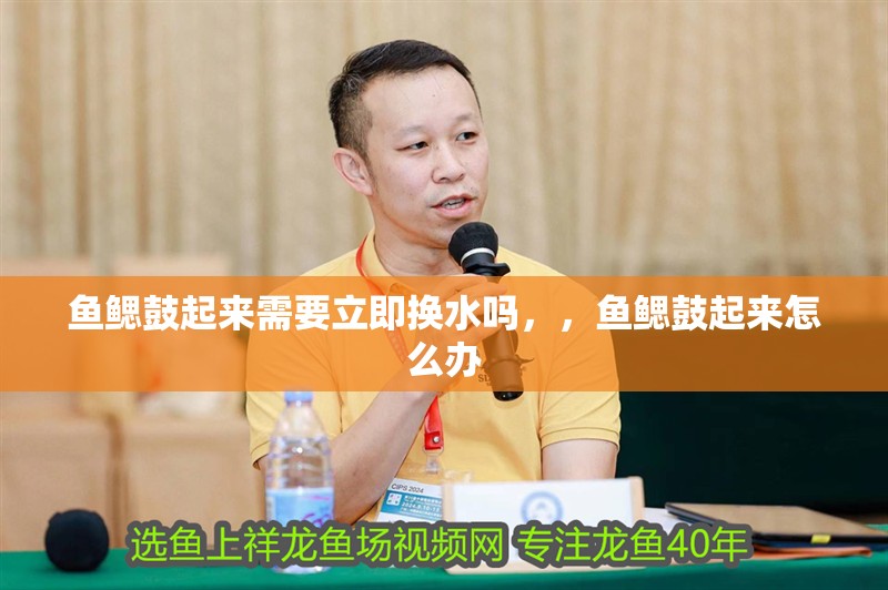 魚鰓鼓起來需要立即換水嗎，，魚鰓鼓起來怎么辦 魚鰓鼓起來需要立即換水嗎，，魚鰓鼓起來怎么辦 龍魚百科