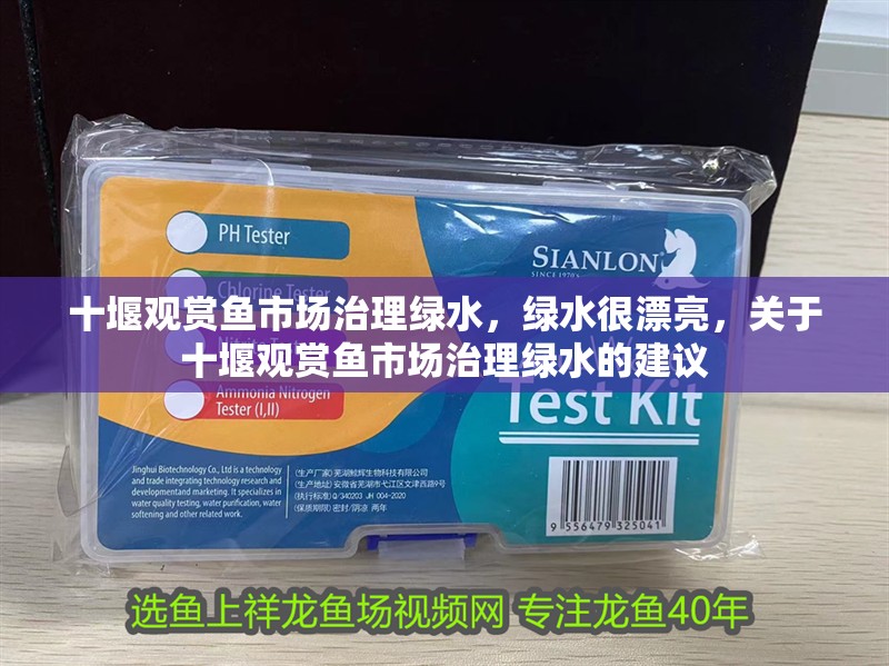 十堰觀賞魚市場治理綠水，綠水很漂亮，關于十堰觀賞魚市場治理綠水的建議