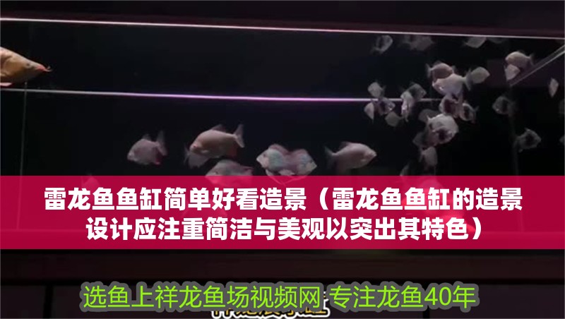 龍魚干蝦有營養嗎 雷龍魚魚缸簡單好看造景(雷龍魚魚缸的造景設計應注重簡潔與美觀以突出其特色) 觀賞魚百科 雷龍魚魚缸簡單好看造景(雷龍魚魚缸的造景設計應注重簡潔與美觀以突出其特色) 雷龍魚魚缸簡單好看造景(雷龍魚魚缸的造景設計應注重簡潔與美觀以突出其特色) 觀賞魚百科