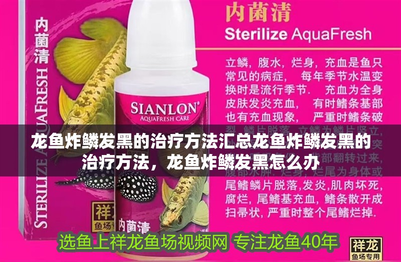 龍魚炸鱗發黑的治療方法匯總龍魚炸鱗發黑的治療方法，龍魚炸鱗發黑怎么辦