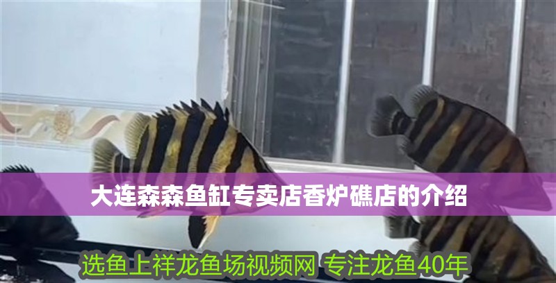 大連森森魚缸專賣店香爐礁店的介紹