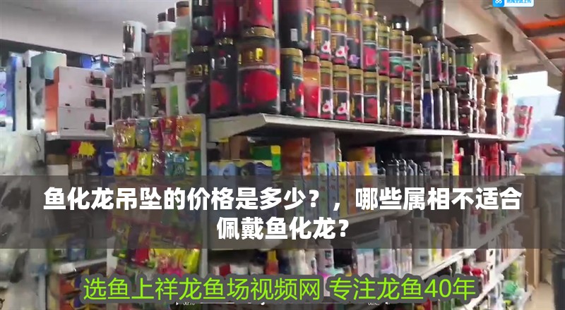 魚化龍吊墜的價格是多少？，哪些屬相不適合佩戴魚化龍？