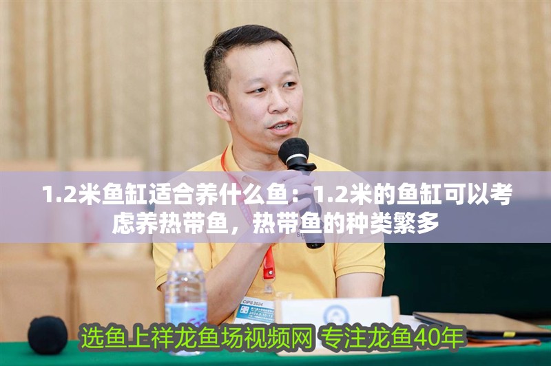 1.2米魚缸適合養什么魚：1.2米的魚缸可以考慮養熱帶魚，熱帶魚的種類繁多