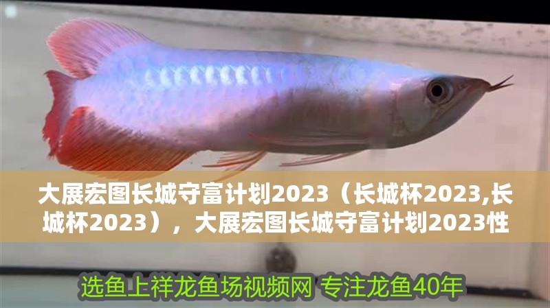 大展宏圖長城守富計劃2023（長城杯2023,長城杯2023），大展宏圖長城守富計劃2023性價比真的那么高嗎