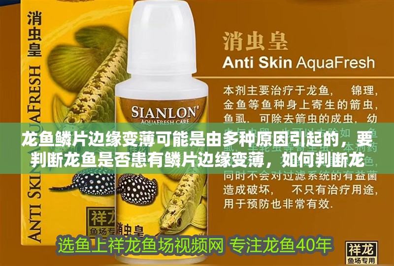 龍魚鱗片邊緣變薄可能是由多種原因引起的，要判斷龍魚是否患有鱗片邊緣變薄，如何判斷龍魚是否患有鱗片邊緣變薄