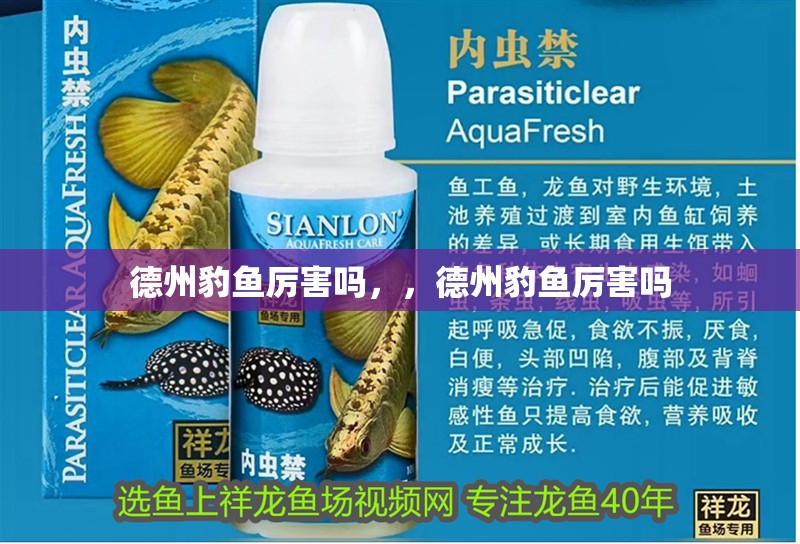 德州豹魚厲害嗎，，德州豹魚厲害嗎