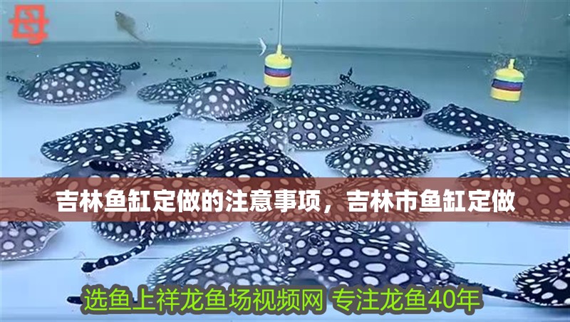吉林魚缸定做的注意事項，吉林市魚缸定做