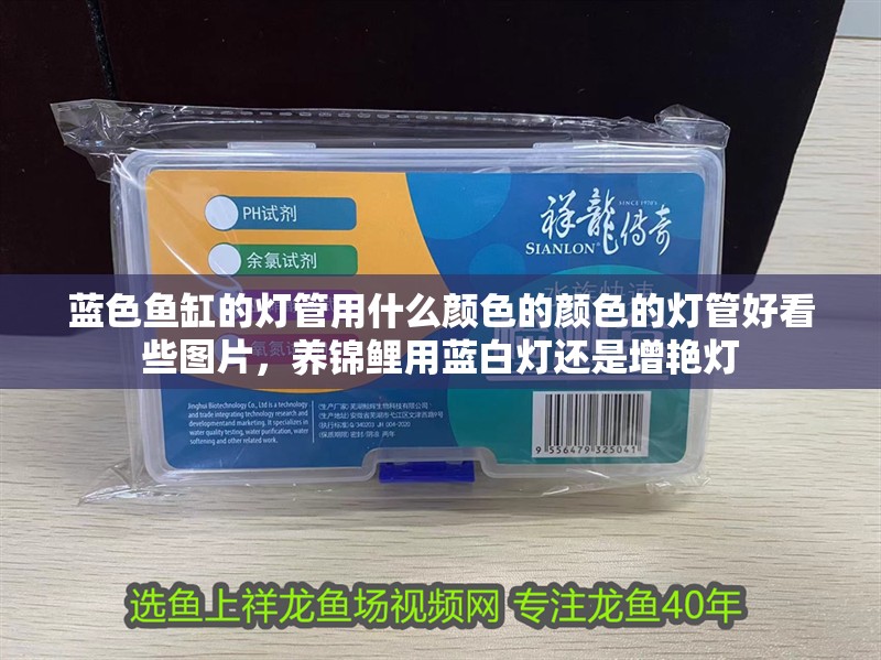 藍色魚缸的燈管用什么顏色的顏色的燈管好看些圖片，養錦鯉用藍白燈還是增艷燈
