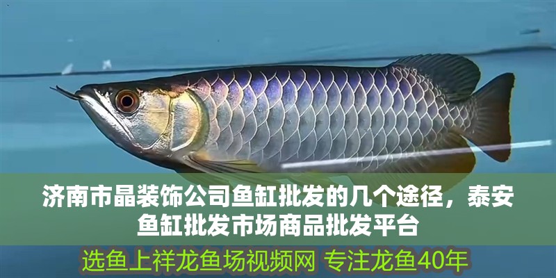 濟南市晶裝飾公司魚缸批發的幾個途徑，<strong><mark>泰安</mark></strong>魚缸批發市場商品批發平臺