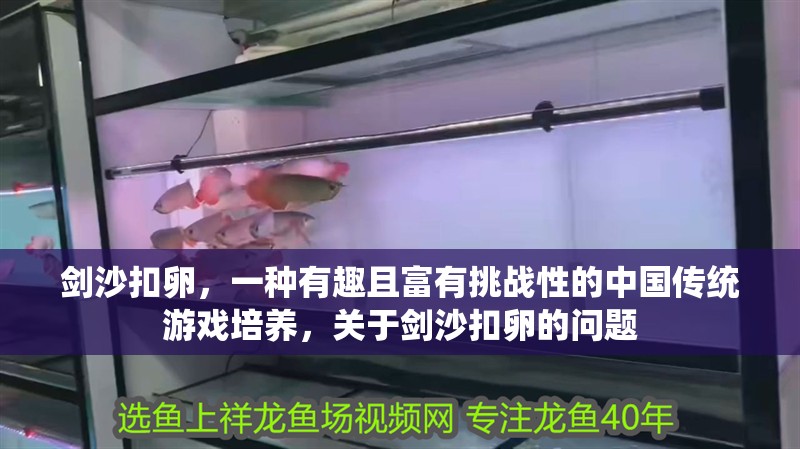 劍沙扣卵，一種有趣且富有挑戰性的中國傳統游戲培養，關于劍沙扣卵的問題