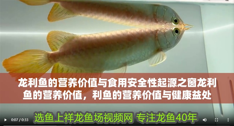 龍利魚的營(yíng)養(yǎng)價(jià)值與食用安全性起源之窗龍利魚的營(yíng)養(yǎng)價(jià)值，利魚的營(yíng)養(yǎng)價(jià)值與健康益處