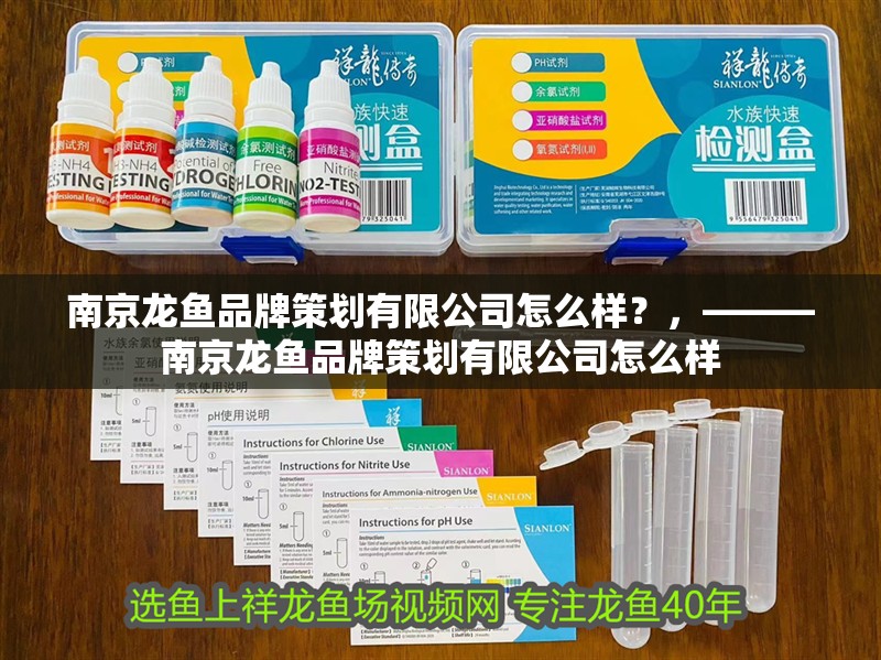 南京龍魚品牌策劃有限公司怎么樣？，———南京龍魚品牌策劃有限公司怎么樣