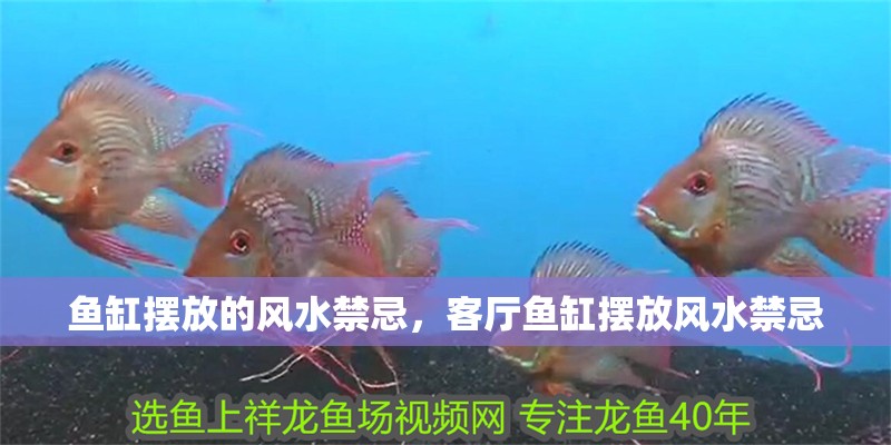 魚缸擺放的風水禁忌，客廳魚缸擺放風水禁忌