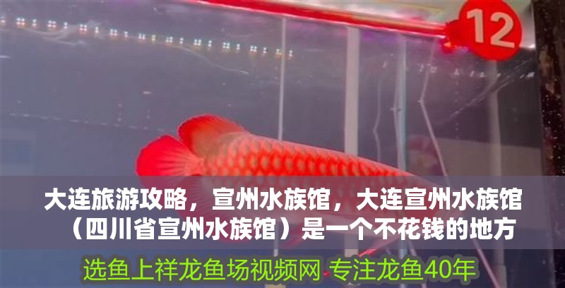 大連旅游攻略，宣州水族館，大連宣州水族館（四川省宣州水族館）是一個不花錢的地方