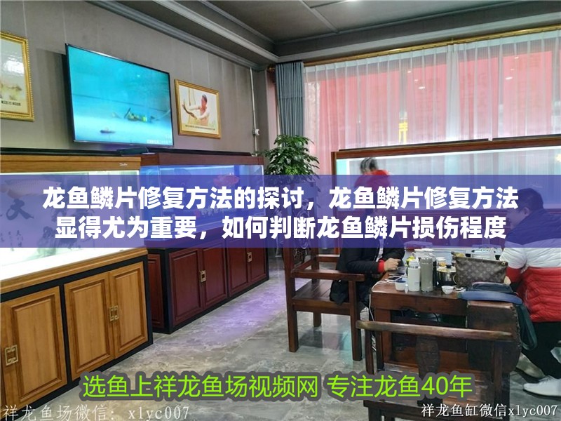 龍魚(yú)鱗片修復(fù)方法的探討，龍魚(yú)鱗片修復(fù)方法顯得尤為重要，如何判斷龍魚(yú)鱗片損傷程度