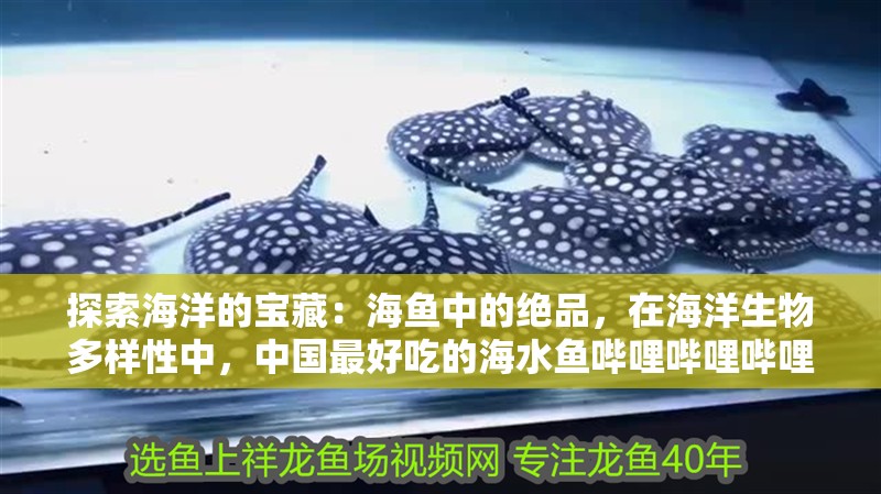 探索海洋的寶藏：海魚中的絕品，在海洋生物多樣性中，中國(guó)最好吃的海水魚嗶哩嗶哩嗶哩嗶哩嗶哩嗶哩展開