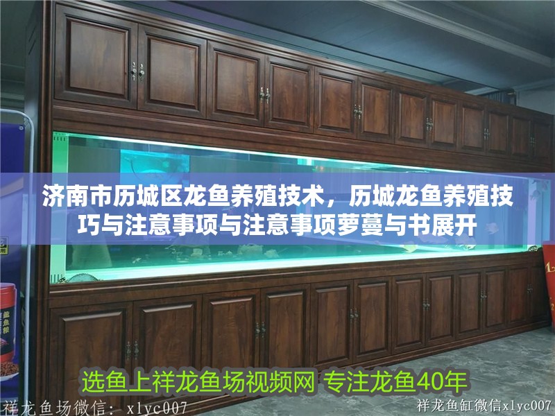 濟南市歷城區龍魚養殖技術，歷城龍魚養殖技巧與注意事項與注意事項蘿蔓與書展開