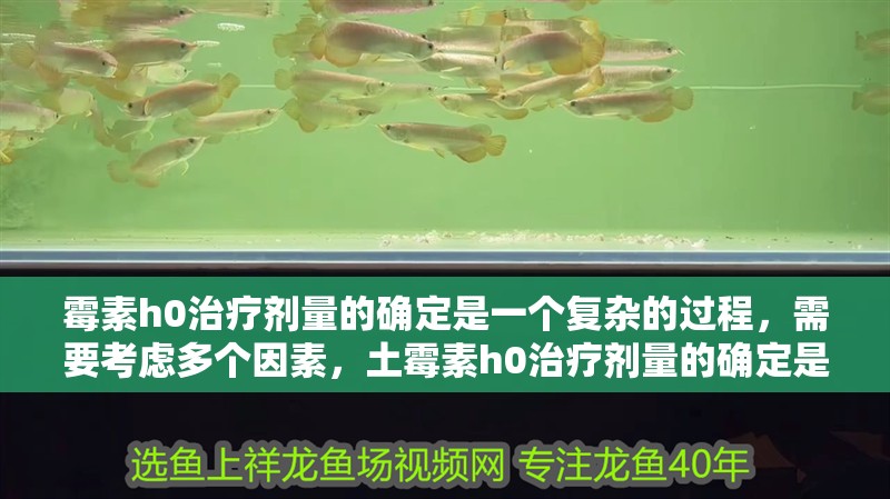 霉素h0治療劑量的確定是一個復雜的過程，需要考慮多個因素，土霉素h0治療劑量的確定是一個復雜的過程，需要考慮多個因素