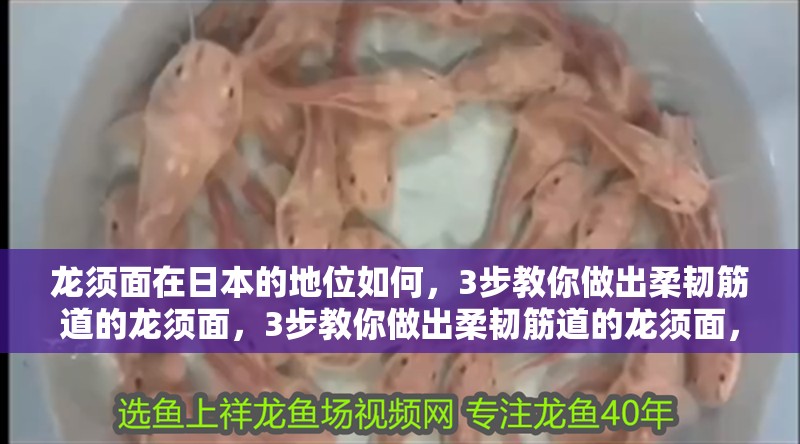 龍須面在日本的地位如何，3步教你做出柔韌筋道的龍須面，3步教你做出柔韌筋道的龍須面，節(jié)日宴客超有面兒~ 龍須面在日本的地位如何，3步教你做出柔韌筋道的龍須面，3步教你做出柔韌筋道的龍須面，節(jié)日宴客超有面兒~ 龍魚百科 第3張