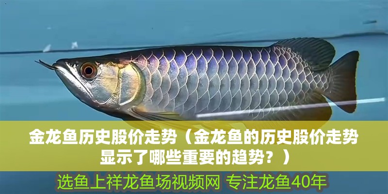 金龍魚歷史股價走勢（金龍魚的歷史股價走勢顯示了哪些重要的趨勢？）